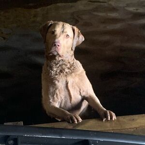 Meet your Posher, James